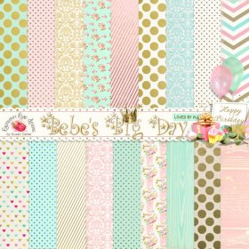 Bebe's Big Day Pattern Papers