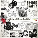 Life In Pictures Revisited Camera Fun Life In Pictures Revisited Camera Fun