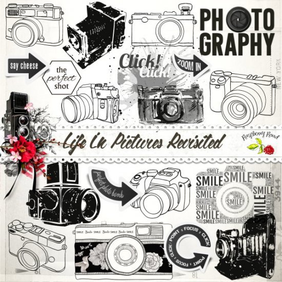 Life In Pictures Revisited Camera Fun - Click Image to Close