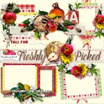 Freshly Picked Cluster Set Freshly Picked Cluster Set