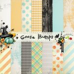 Goose Bumps Paper Set Goose Bumps Paper Set