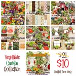 Vegetable Garden Collection