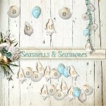 Seashells & Seashores AlphaSet Seashells & Seashores AlphaSet