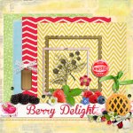 Berry Delight Add On Kit Berry Delight Add On Kit