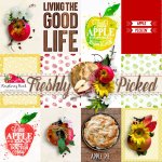 Freshly Picked Journal Cards Freshly Picked Journal Cards