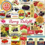 Berry Delight Ephemera Set Berry Delight Ephemera Set