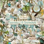 Seashells & Seashores Elements Seashells & Seashores Elements