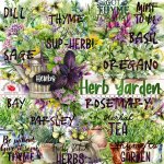Herb Garden Ephemera