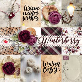 Winterberry Journal Cards