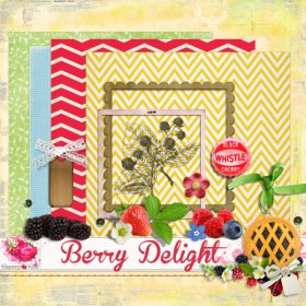 Berry Delight Add On Kit