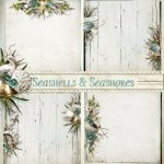 Seashells & Seashores StackedPapers Seashells & Seashores StackedPapers