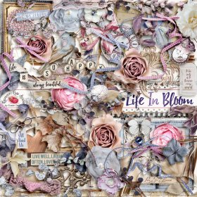 Life In Bloom Collection