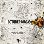 October Magic Cobwebs & Spider Set October Magic Cobwebs & Spider Set
