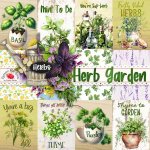 Herb Garden Journal Cards