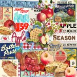 Apple Season Ephemera Set Apple Season Ephemera Set