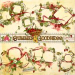 Summer Goodness Clusters Summer Goodness Clusters