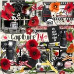 Capture Life Elements Capture Life Elements