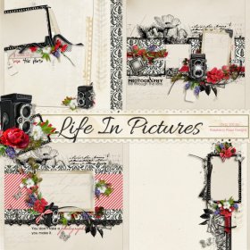Life In Pictures QP Set