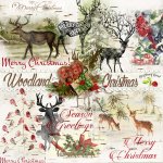 Woodland Christmas Extras Woodland Christmas Extras