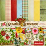 Summer Goodness Add-on Summer Goodness Add-on