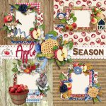 Apple Season QP Set Apple Season QP Set