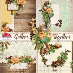 Gather Together QP Set Gather Together QP Set