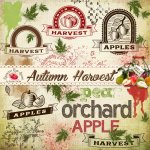 Autumn Harvest Stamp Set Autumn Harvest Stamp Set