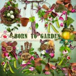 Born To Garden Side Clusters Born To Garden Side Clusters