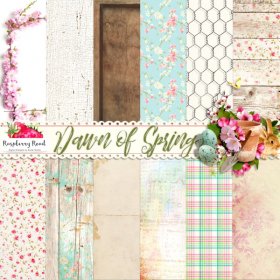 Dawn Of Spring Papers