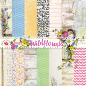 Wildflowers Paper Set