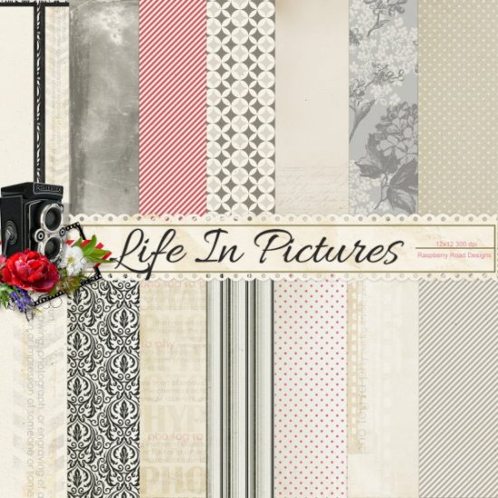 Life In Pictures Paper Set - Click Image to Close