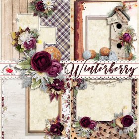 Winterberry QP Set