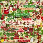 Wild Strawberries Element Set