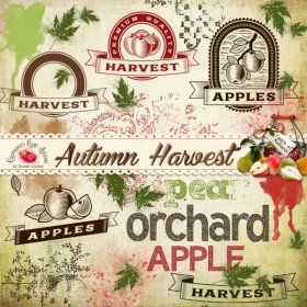 Autumn Harvest Stamp Set