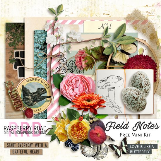 Field Notes Freebie