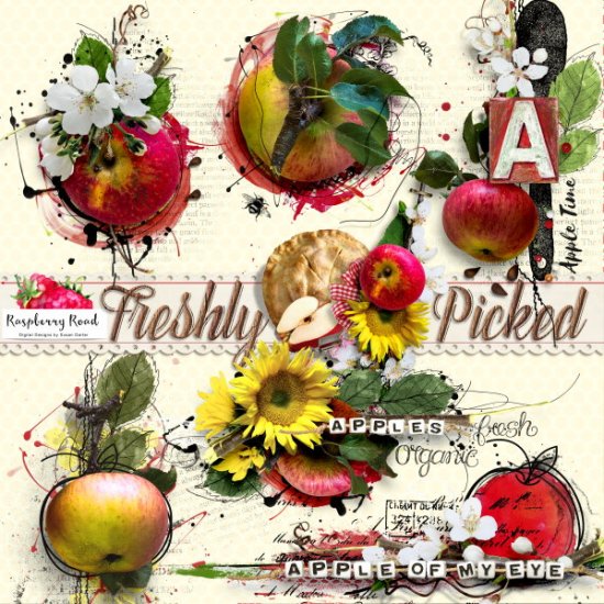 Freshly Picked Mixed Media Apples - Click Image to Close