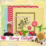 Berry Delight Add On Kit Berry Delight Add On Kit