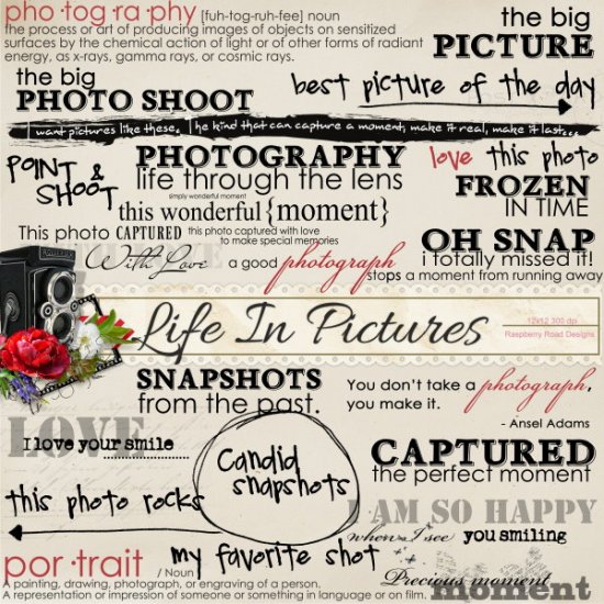 Life In Pictures Word Art - Click Image to Close