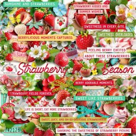 Strawberry Season Elements