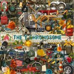 The Y Chromosome Element Set