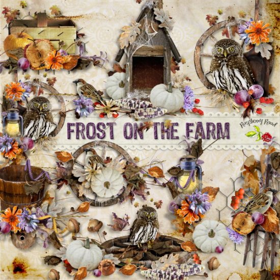 Frost On The Farm Side Clusters - Click Image to Close
