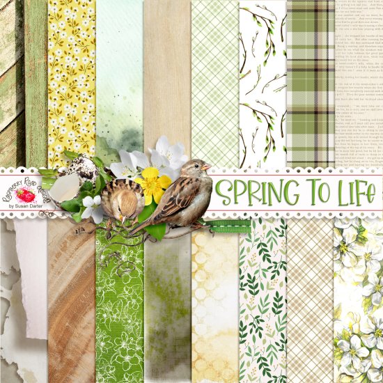 Spring To Life Papers - Click Image to Close