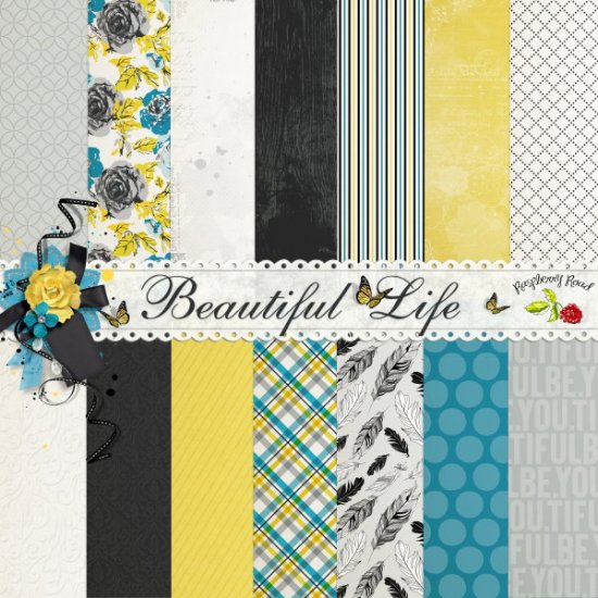 Beautiful Life Paper Set - Click Image to Close