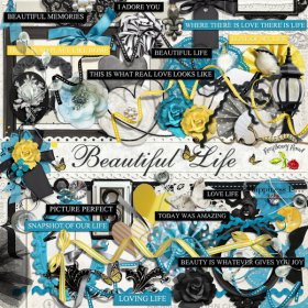 Beautiful Life Element Set