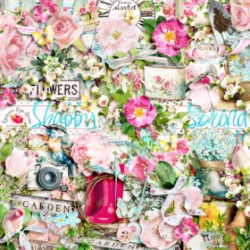 Shabby Spring Elements