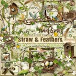 Straw & Feathers Element Set