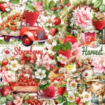 Strawberry Harvest Ephemera