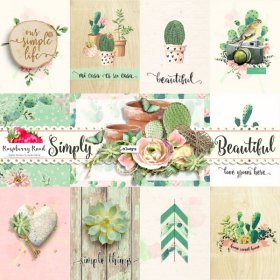 Simply Beautiful Journal Cards