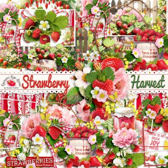Strawberry Harvest Clusters - Click Image to Close