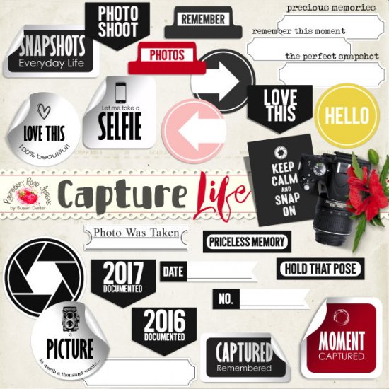 Capture Life Labels - Click Image to Close